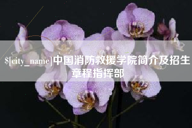 章丘中国消防救援学院简介及招生章程指挥部