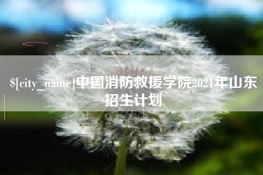 章丘中国消防救援学院2021年山东招生计划