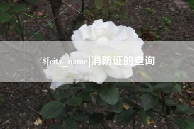 章丘消防证的查询