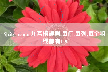 章丘九宫格规则,每行,每列,每个粗线都有1-9
