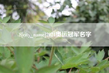 章丘2024奥运冠军名字