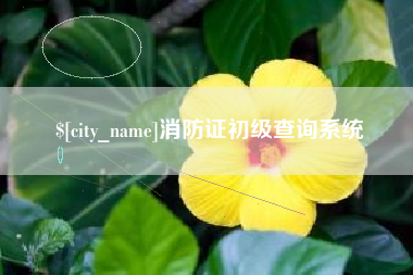 章丘消防证初级查询系统