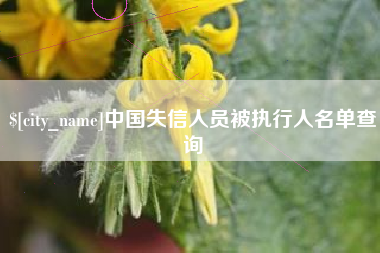 章丘中国失信人员被执行人名单查询