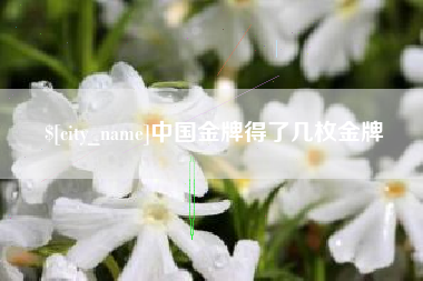 章丘中国金牌得了几枚金牌