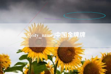 章丘中国金牌牌