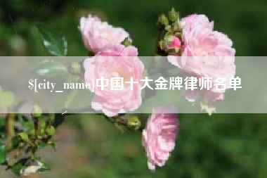 章丘中国十大金牌律师名单