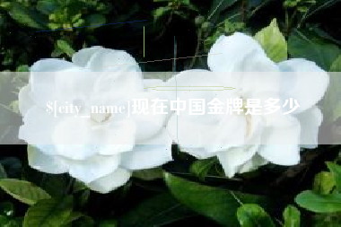 章丘现在中国金牌是多少