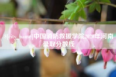 章丘中国消防救援学院2020年河南录取分数线