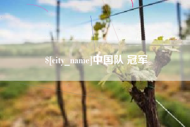 章丘中国队 冠军