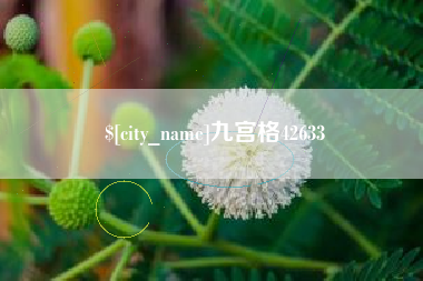 章丘九宫格42633