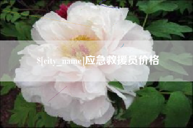 章丘应急救援员价格