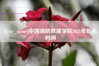 章丘中国消防救援学院2021年报名时间