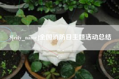 章丘全国消防日主题活动总结