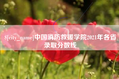 章丘中国消防救援学院2021年各省录取分数线