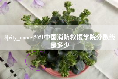 章丘2021中国消防救援学院分数线是多少