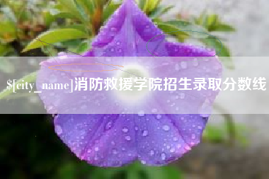 章丘消防救援学院招生录取分数线