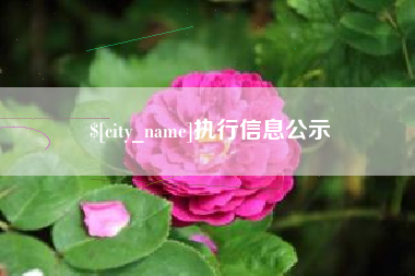 章丘执行信息公示