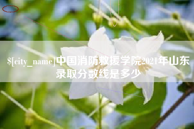 章丘中国消防救援学院2021年山东录取分数线是多少