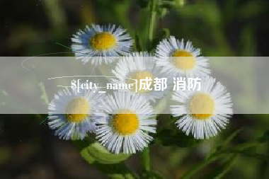 章丘成都 消防