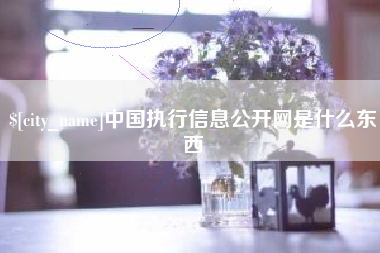 章丘中国执行信息公开网是什么东西