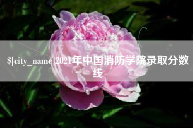 章丘2021年中国消防学院录取分数线