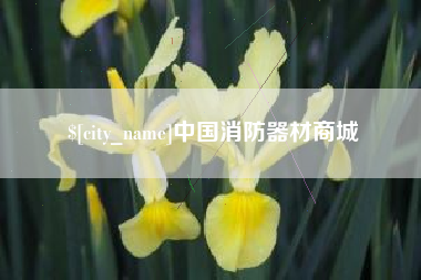 章丘中国消防器材商城