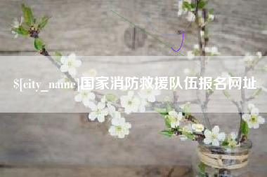 章丘国家消防救援队伍报名网址