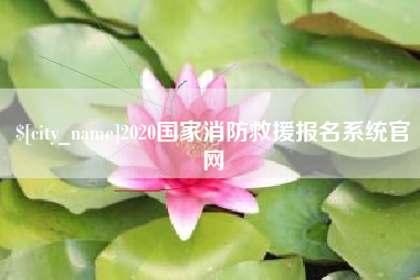 章丘2020国家消防救援报名系统官网