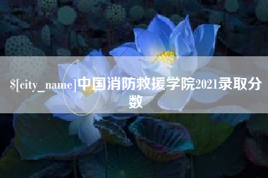 章丘中国消防救援学院2021录取分数