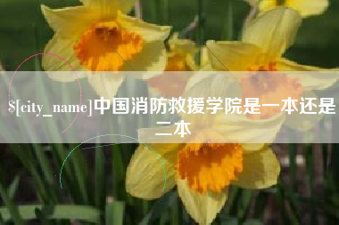 章丘中国消防救援学院是一本还是二本