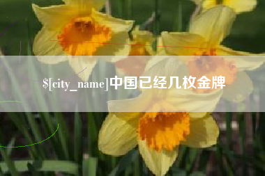 章丘中国已经几枚金牌