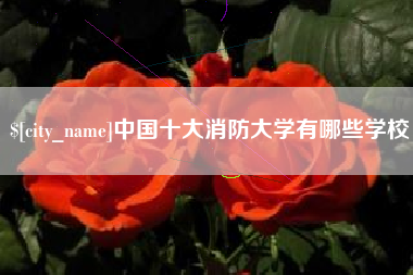 章丘中国十大消防大学有哪些学校