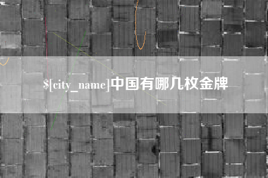 章丘中国有哪几枚金牌
