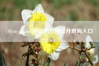 章丘中国执行网公开查询入口