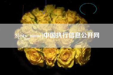 章丘中国执行信息公开网