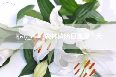 章丘森林消防日是哪一天