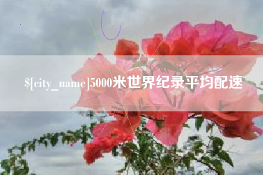章丘5000米世界纪录平均配速