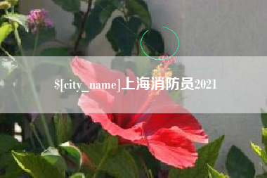 章丘上海消防员2021