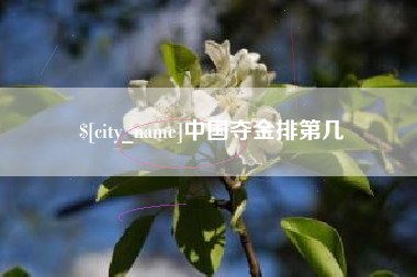 章丘中国夺金排第几