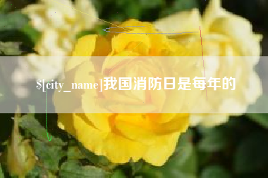 章丘我国消防日是每年的