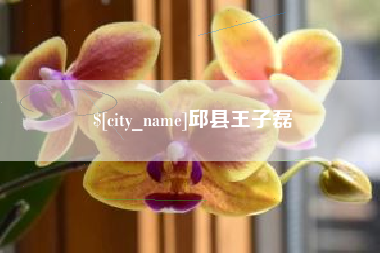 章丘邱县王子磊