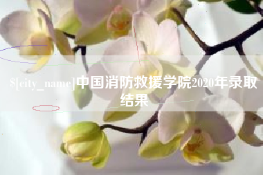 章丘中国消防救援学院2020年录取结果