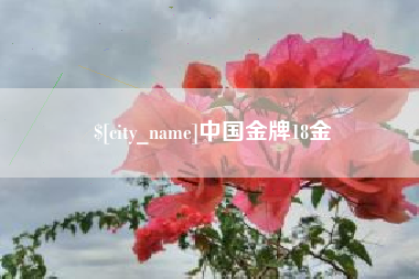 章丘中国金牌18金