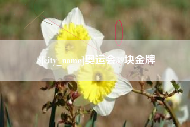 章丘奥运会39块金牌