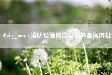 章丘消防设施操作员证书查询网址