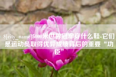 章丘5000米世界冠军穿什么鞋-它们是运动员取得优异成绩背后的重要“功臣”