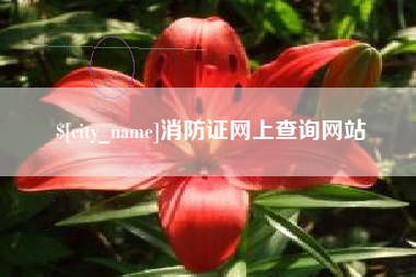 章丘消防证网上查询网站