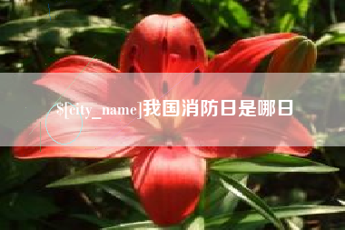 章丘我国消防日是哪日