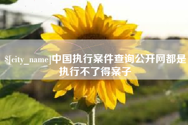 章丘中国执行案件查询公开网都是执行不了得案子