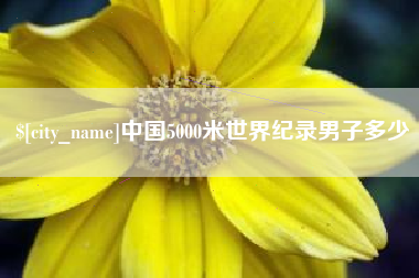 章丘中国5000米世界纪录男子多少
